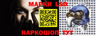 индика Дубна