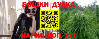 индика Дубна
