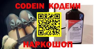 индика Дубна