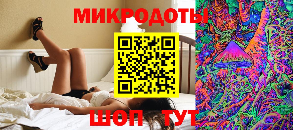 Псилоцибиновые грибы Cubensis Менделеевск